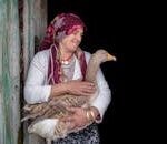 A smiling woman in Türkiye holds a goose with care and warmth.